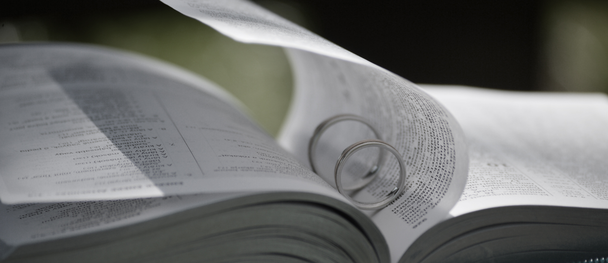 Annullamento Matrimonio Sacra Rota Per Infedeltà Sacra Rota: annullamento del matrimonio e assegno di mantenimento